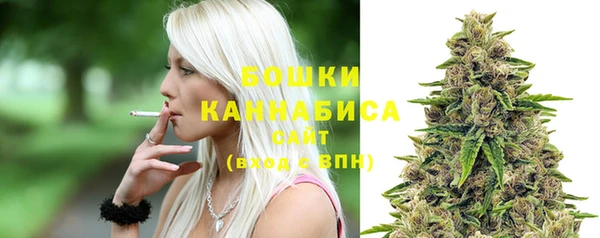 ПСИЛОЦИБИНОВЫЕ ГРИБЫ Михайловка