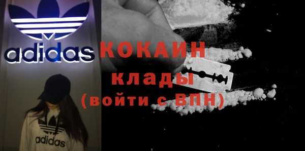 МДПВ Михайлов