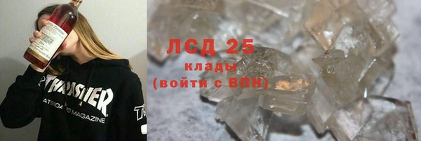 ПСИЛОЦИБИНОВЫЕ ГРИБЫ Михайловка