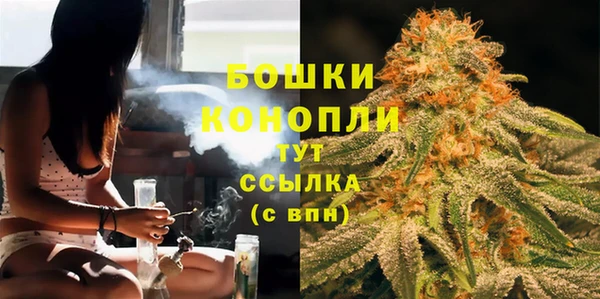 шишки Ачинск