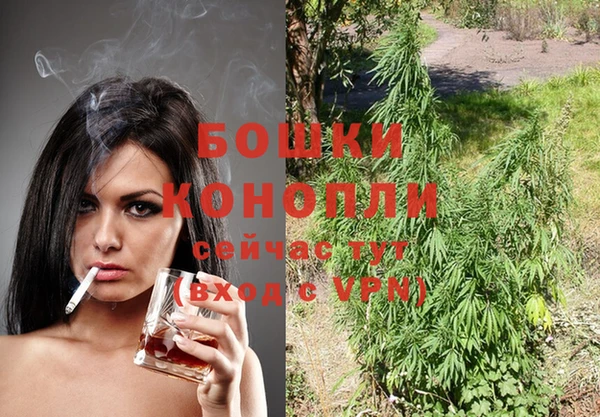 МДПВ Михайлов