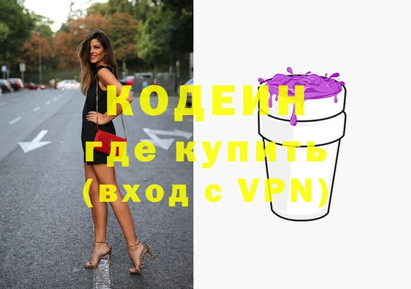 шишки Ачинск