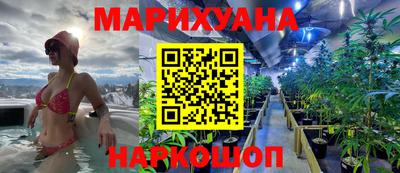 хмурый Кингисепп