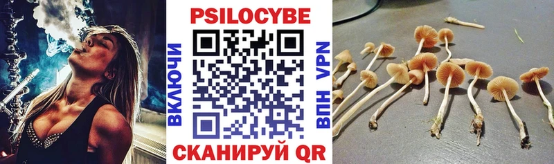 Галлюциногенные грибы прущие грибы  Липецк 