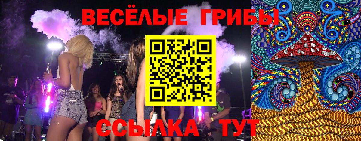 Галлюциногенные грибы GOLDEN TEACHER  где можно купить наркотик  Вход с VPN  Липецк  Галлюциногенные грибы MAGIC MUSHROOMS 